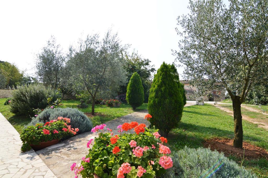 Garden Apartment Maria Vrsar Exteriér fotografie
