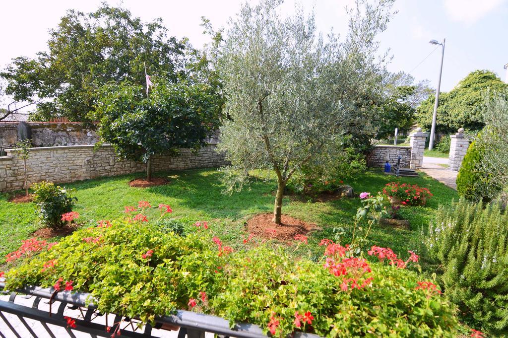Garden Apartment Maria Vrsar Exteriér fotografie